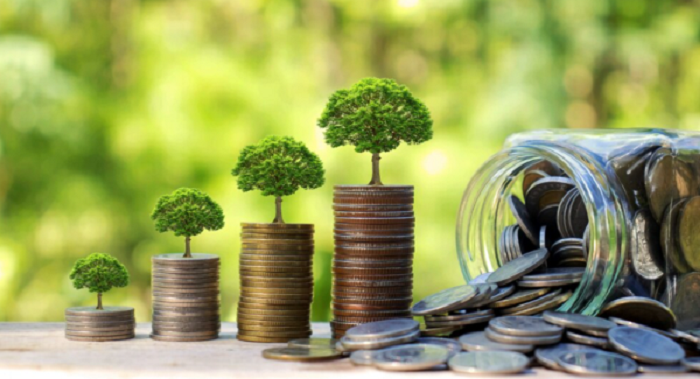 Giá nâng ngực hình giọt nước